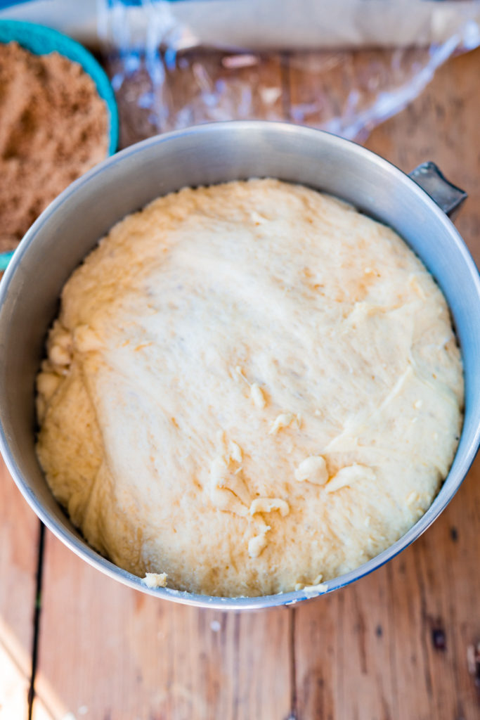 eggnog cinnamon roll dough